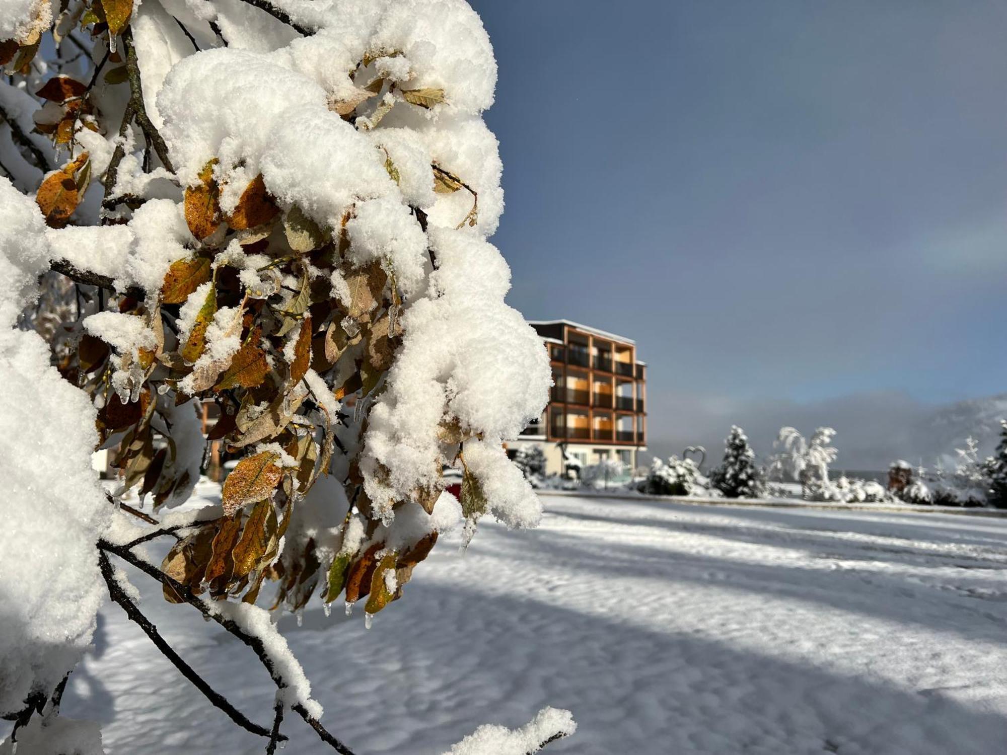 Hotel Lech Da Sompunt باديا المظهر الخارجي الصورة